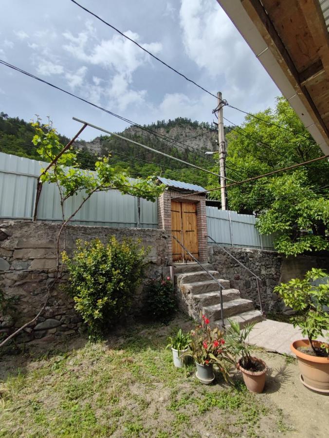 Ati Mta - Eco Hostel Borjomi Eksteriør bilde